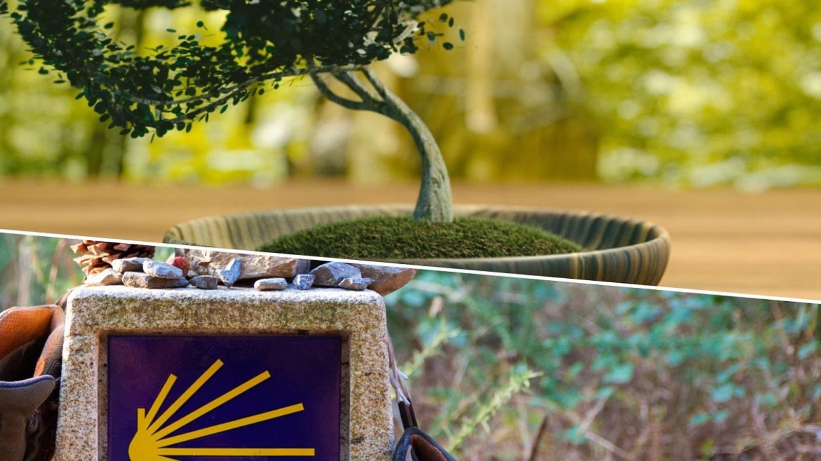 Huertos urbanos y la historia del Camino de Santiago, en los monográficos de la Universidad Popular de Sanse