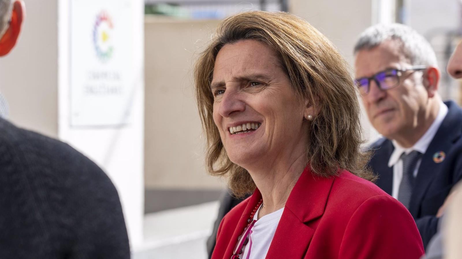 El Gobierno fijará un umbral de renta máximo a las familias numerosas para poder acogerse al bono social