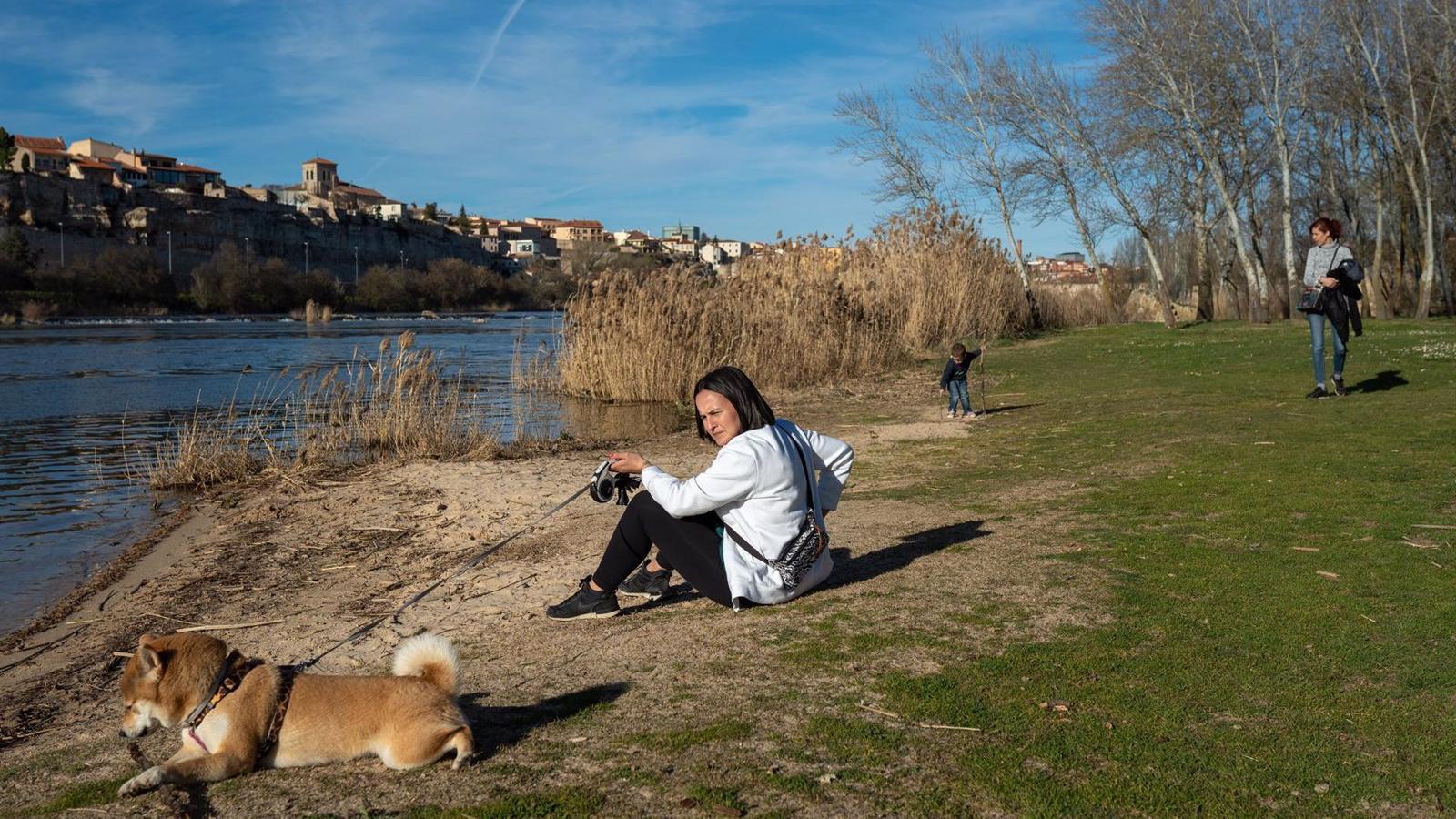 La ley que prohíbe vender animales en tiendas y obliga a hacer un curso para tener perro entrará en vigor el 29 de septiembre