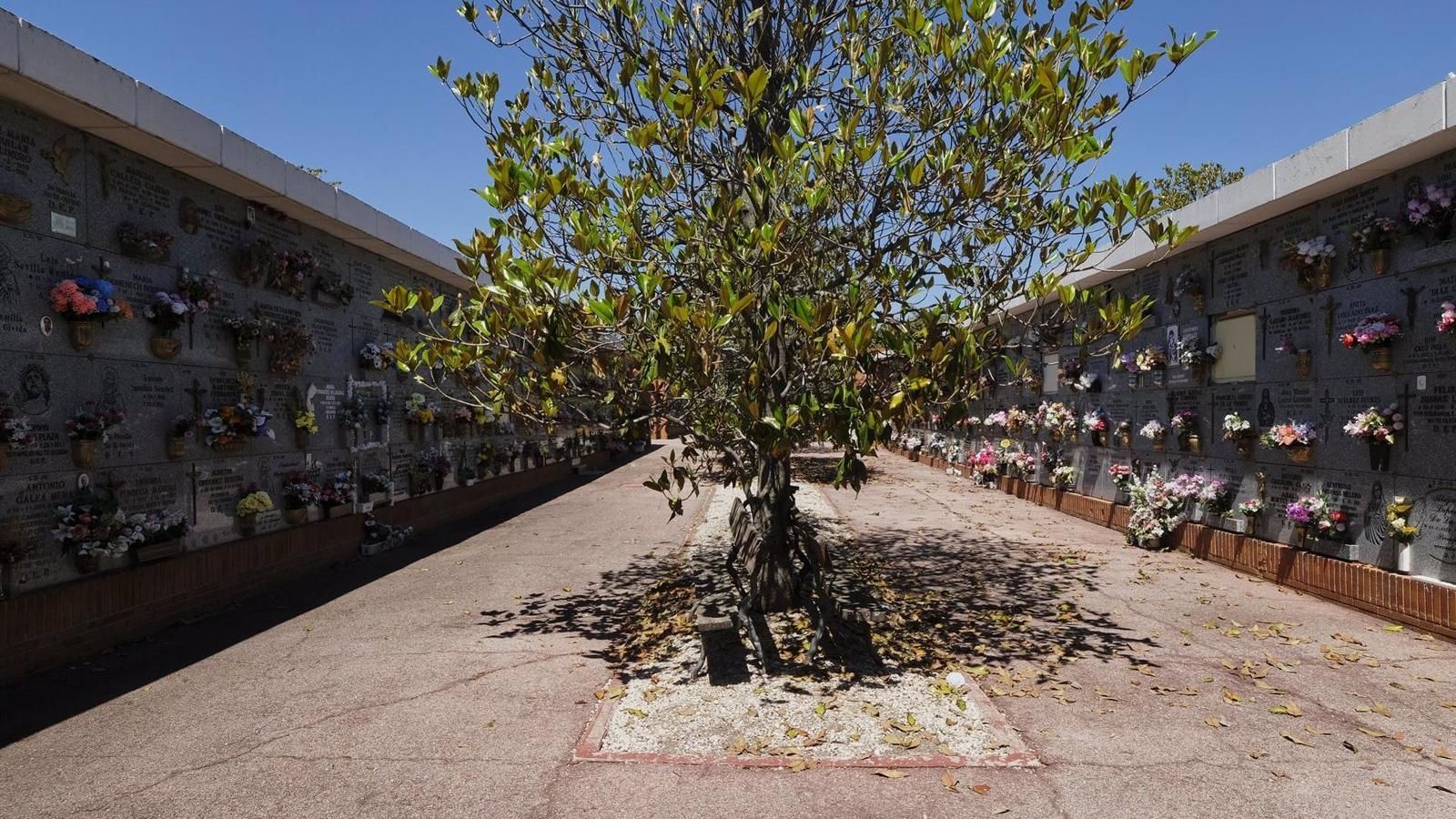 Roban crucifijos y elementos ornamentales metálicos de 74 tumbas del cementerio de Carabanchel