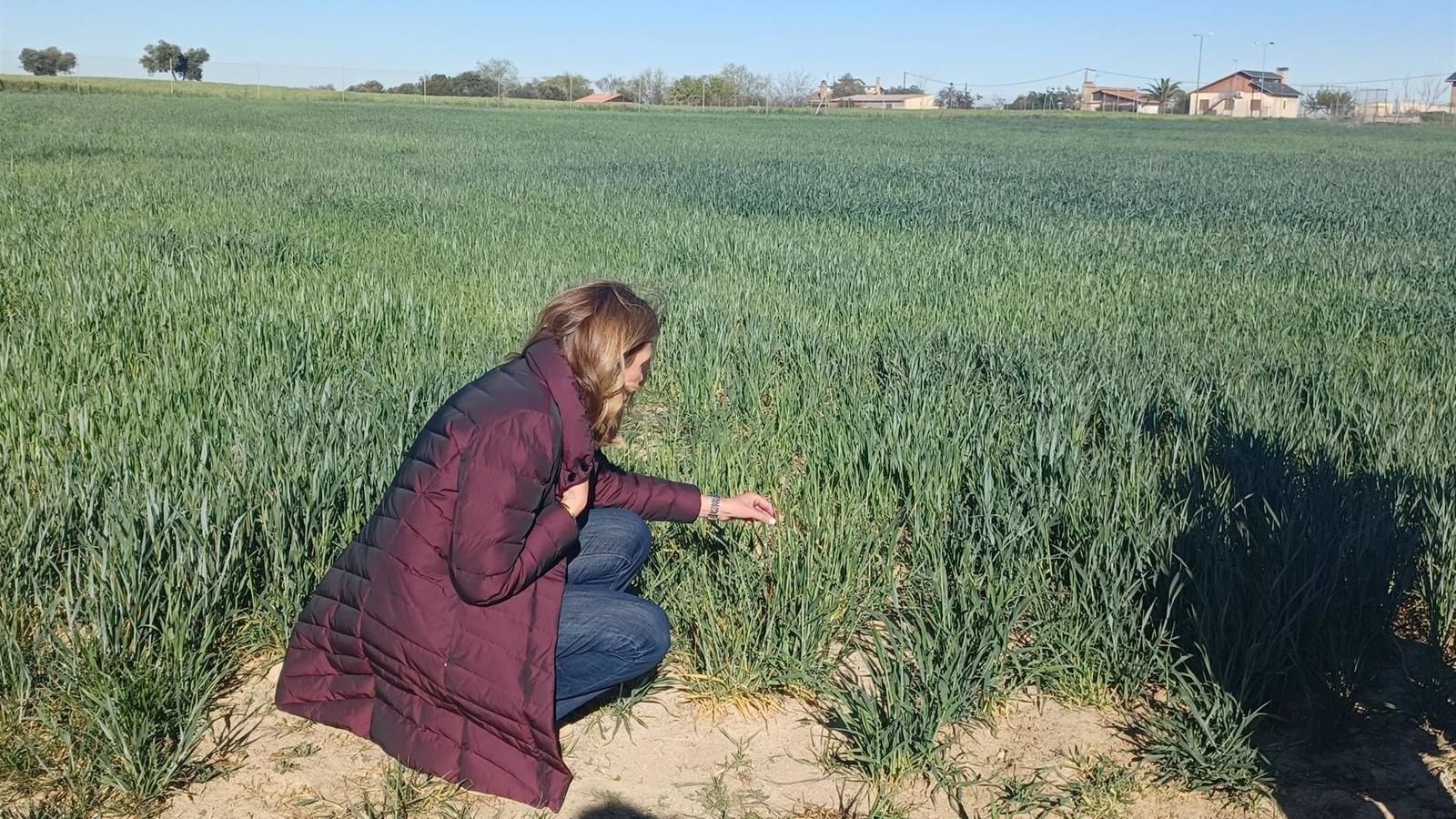 Tejero subraya el papel del Plan Terra como impulsor para la incorporación de jóvenes al campo madrileño