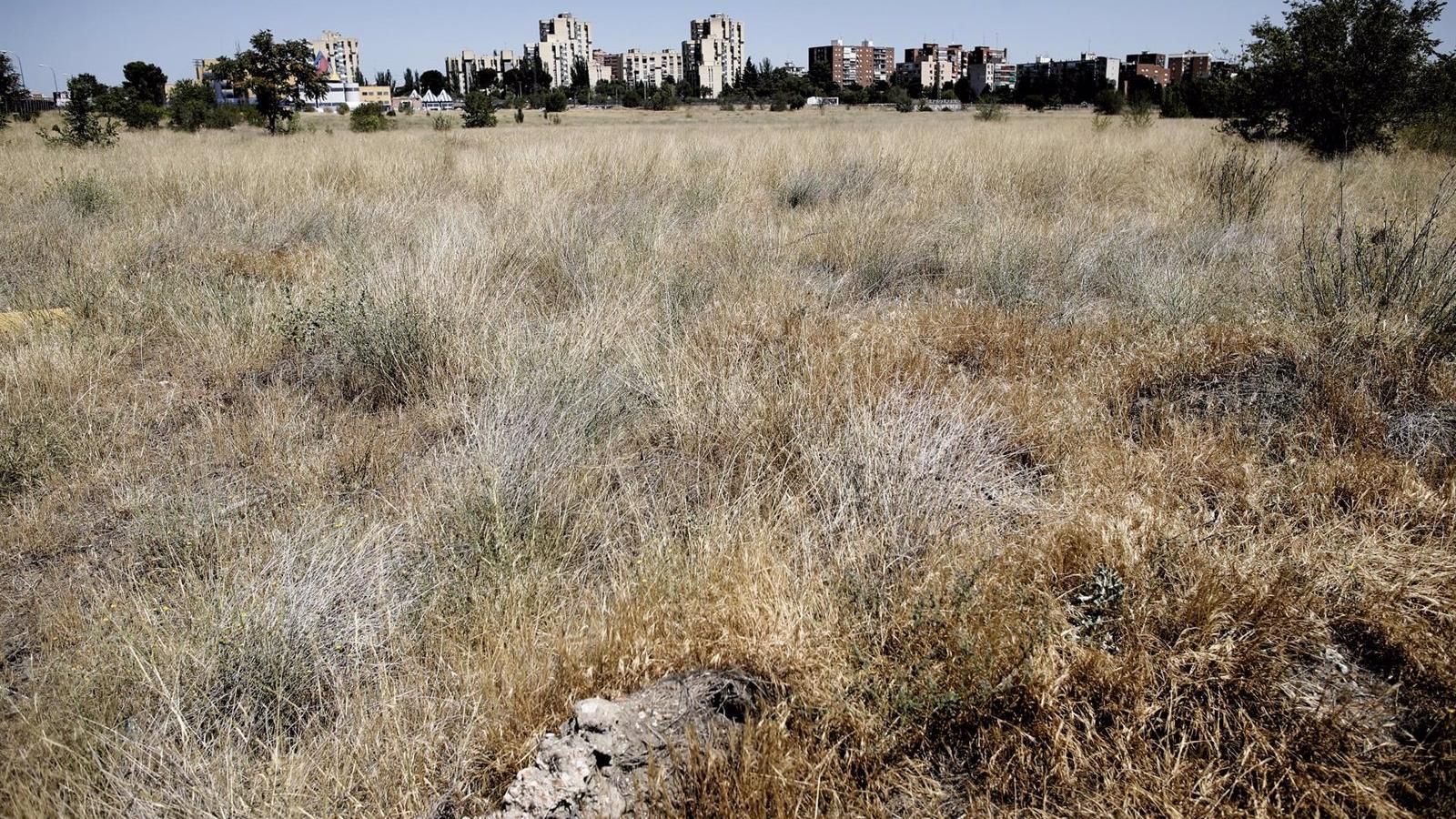 El solar de la antigua cárcel de Carabanchel albergará un desarrollo urbanístico de 600 viviendas