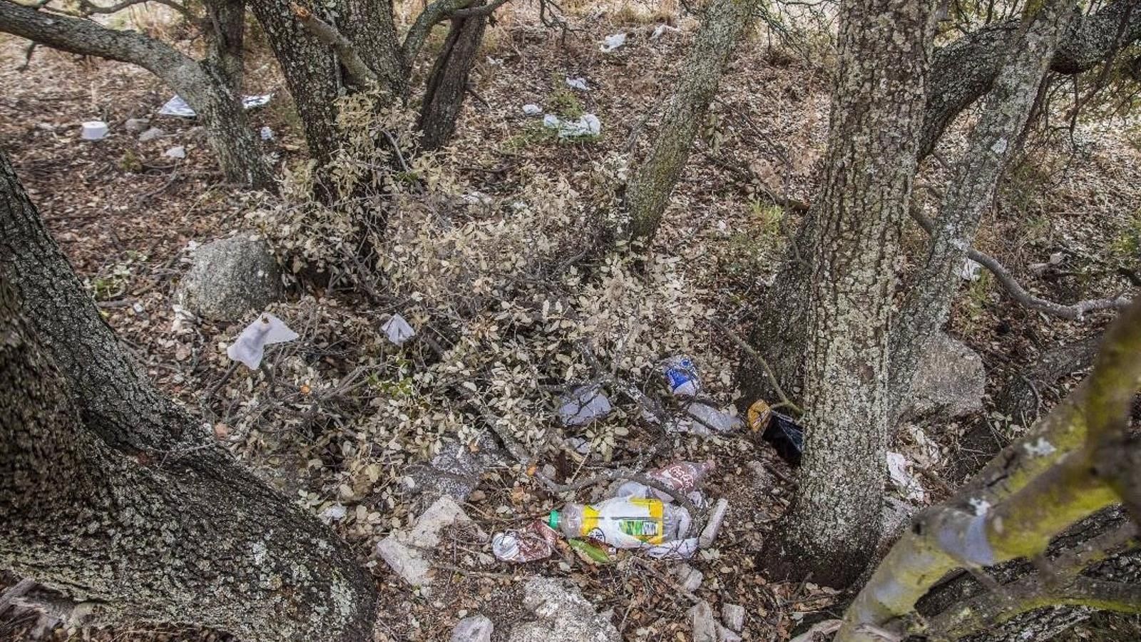 52 municipios madrileños se moviliza contra la 'basuraleza' de la mano del Proyecto Libera