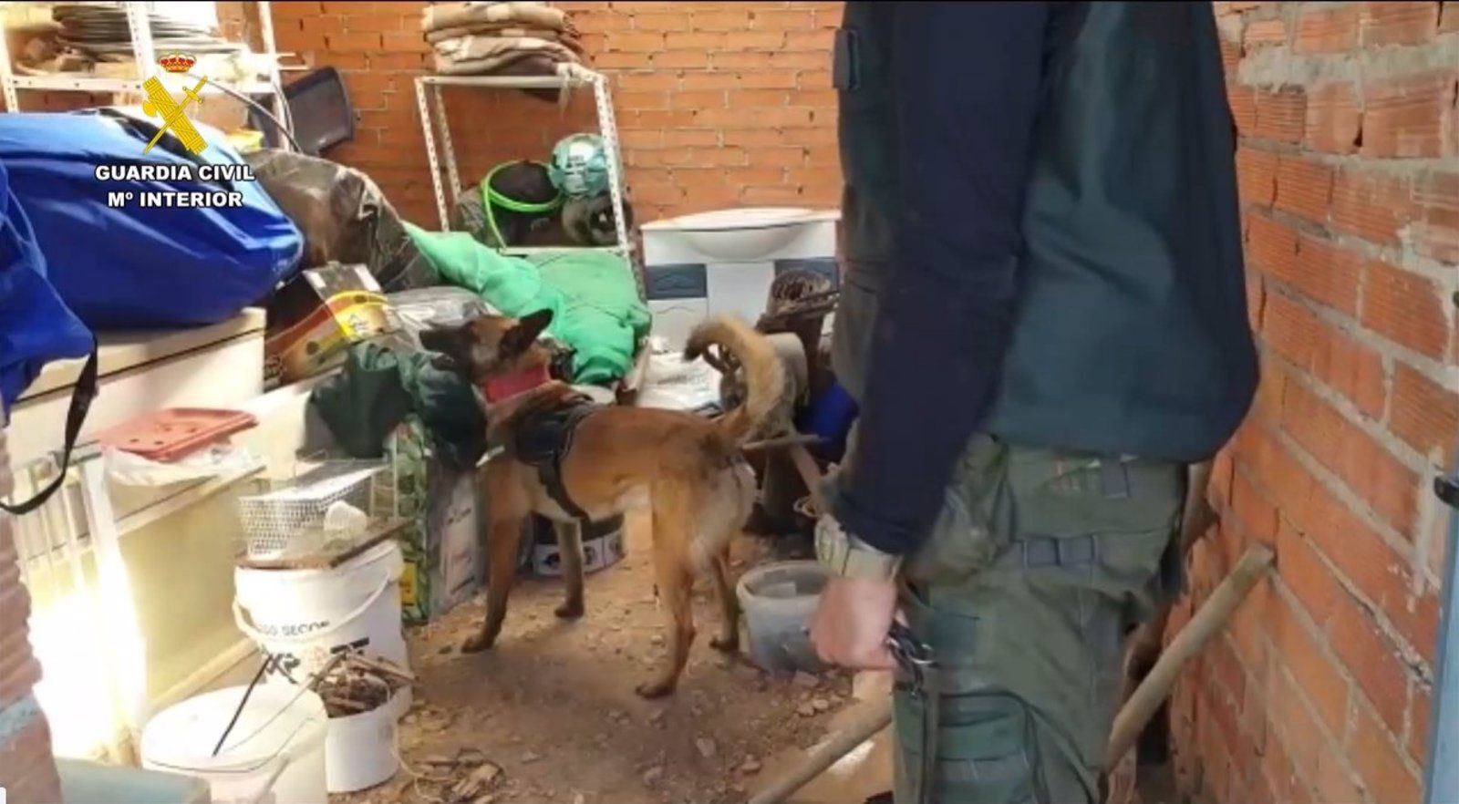 Detenido el guardés de una finca de Chinchón por usar cebos envenenados