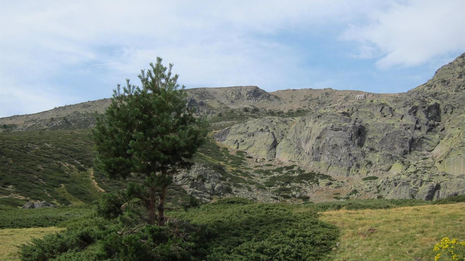 El Gobierno regional invierte 350.000 euros para dinamizar el entorno del Parque Nacional de la Sierra de Guadarrama