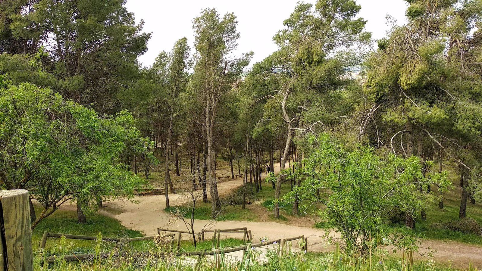 El Parque Alcalá de Torrejón incorpora praderas de césped natural, áreas de juegos infantiles y caninas tras su reforma