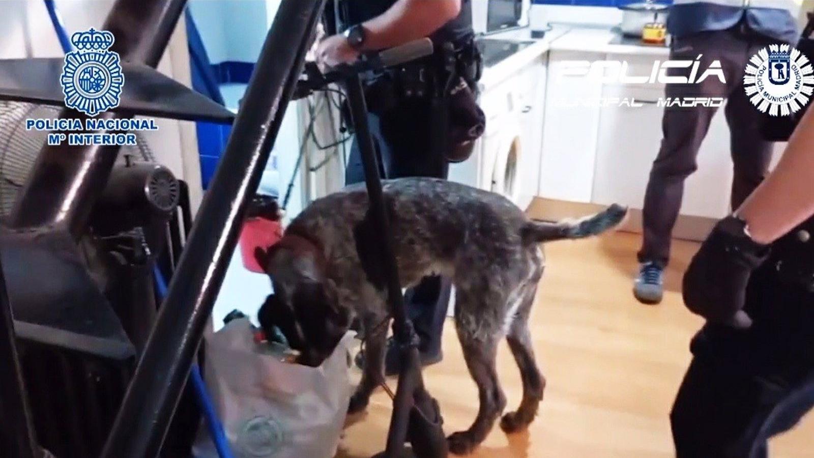 Desmantelado un negocio de 'telecoca' que utilizaba tres coches para repartir droga a clientes