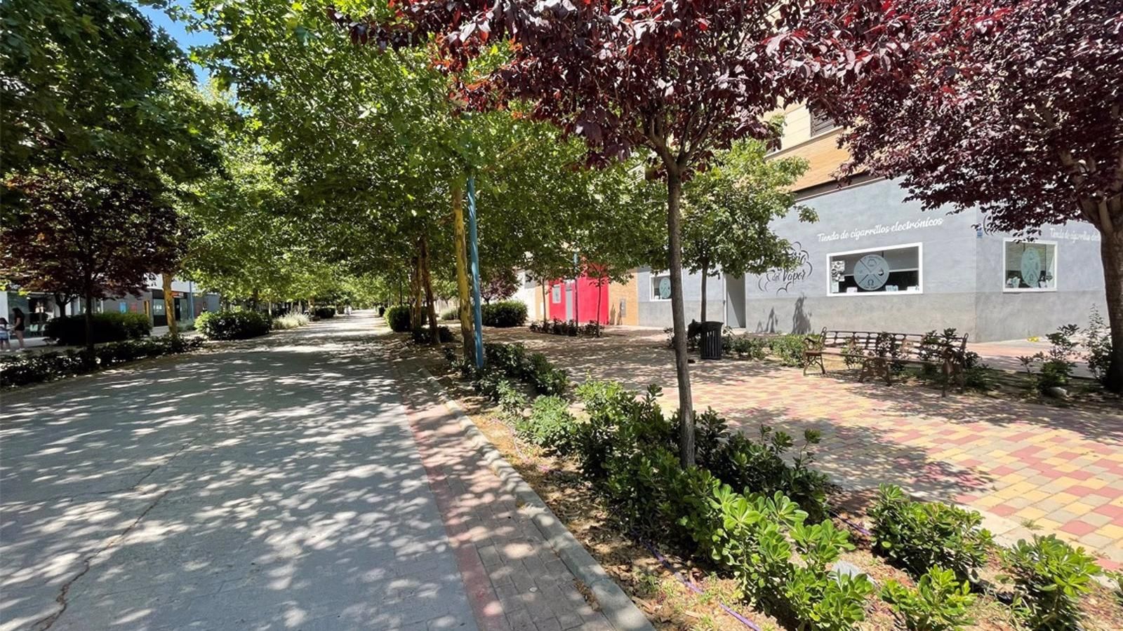 Torrejón planta 8.000 arbustos en las calles Francisco Salzillo y Rosalía de Castro de Soto Henares