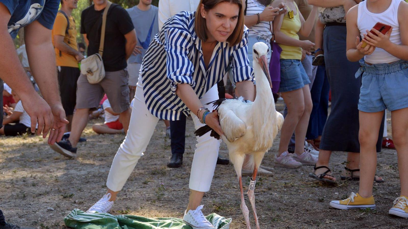 La Huerta del Obispo de Alcalá acoge la tradicional suelta de cigüeñas, con 14 pollos recuperados por el GREFA