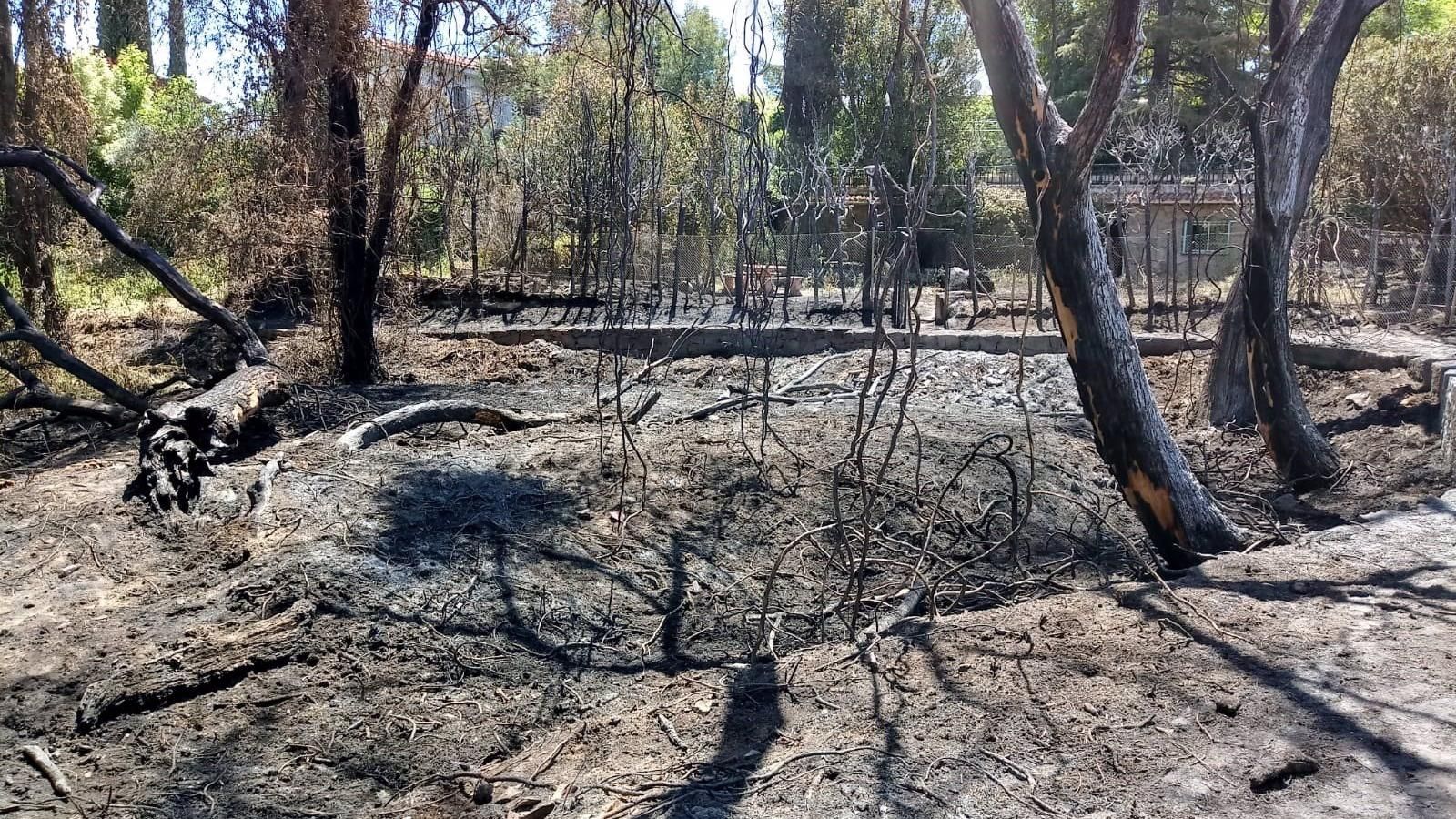 Investigan a cinco personas por cuatro incendios forestales en Pelayos de la Presa