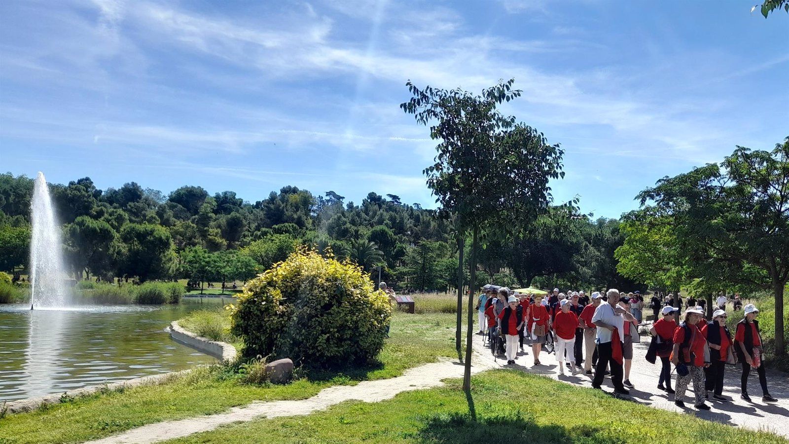 El Gobierno regional impulsará actividades para promover el envejecimiento activo de las personas mayores