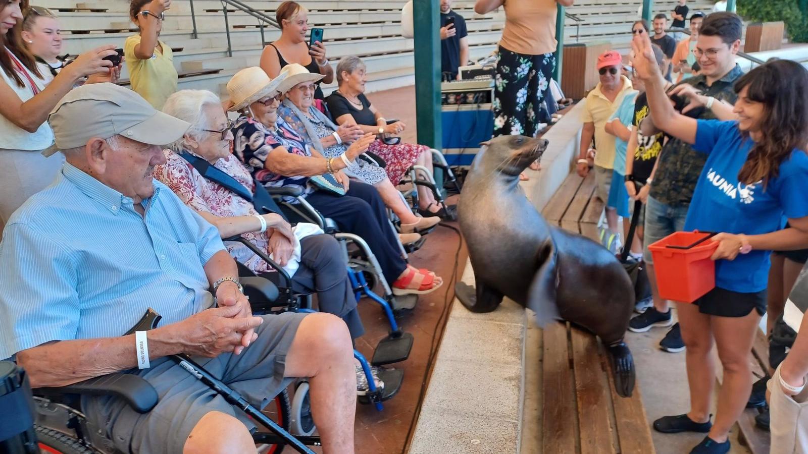 La Comunidad de Madrid reúne en Faunia a medio centenar de abuelos y sus nietos para celebrar el Día de los Abuelos