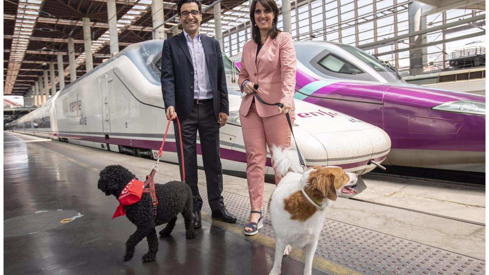 Los trenes de Avlo de Renfe admitirán mascotas de hasta 10 kilos por 10 euros