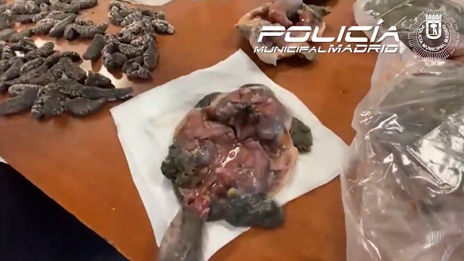  Denunciado un restaurante de Usera por vender medicamentos y especies exóticas que sacrificaba allí