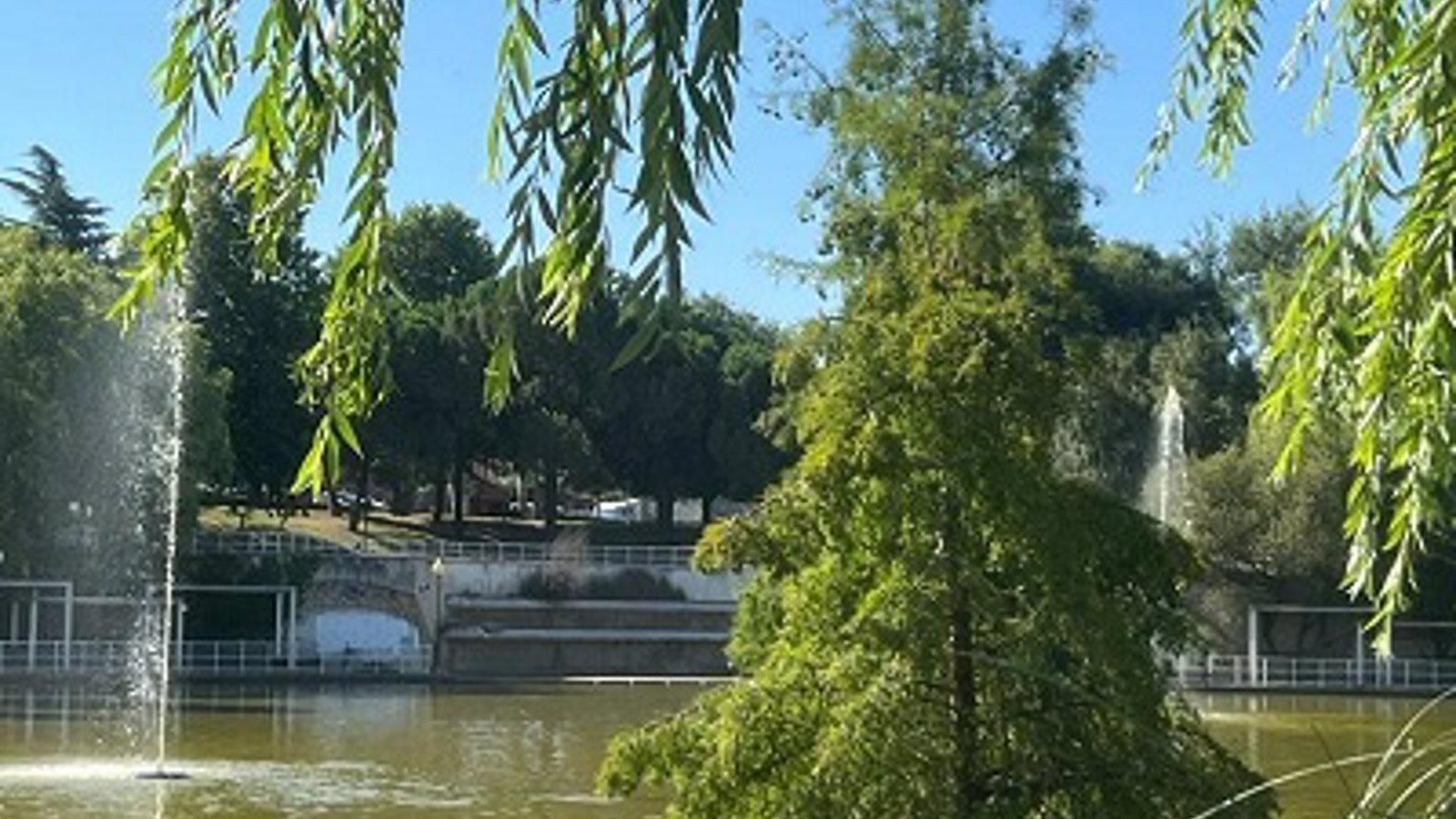 El PSOE de Collado Villalba insta al Gobierno local a revitalizar el Parque de La Laguna del Carrizal