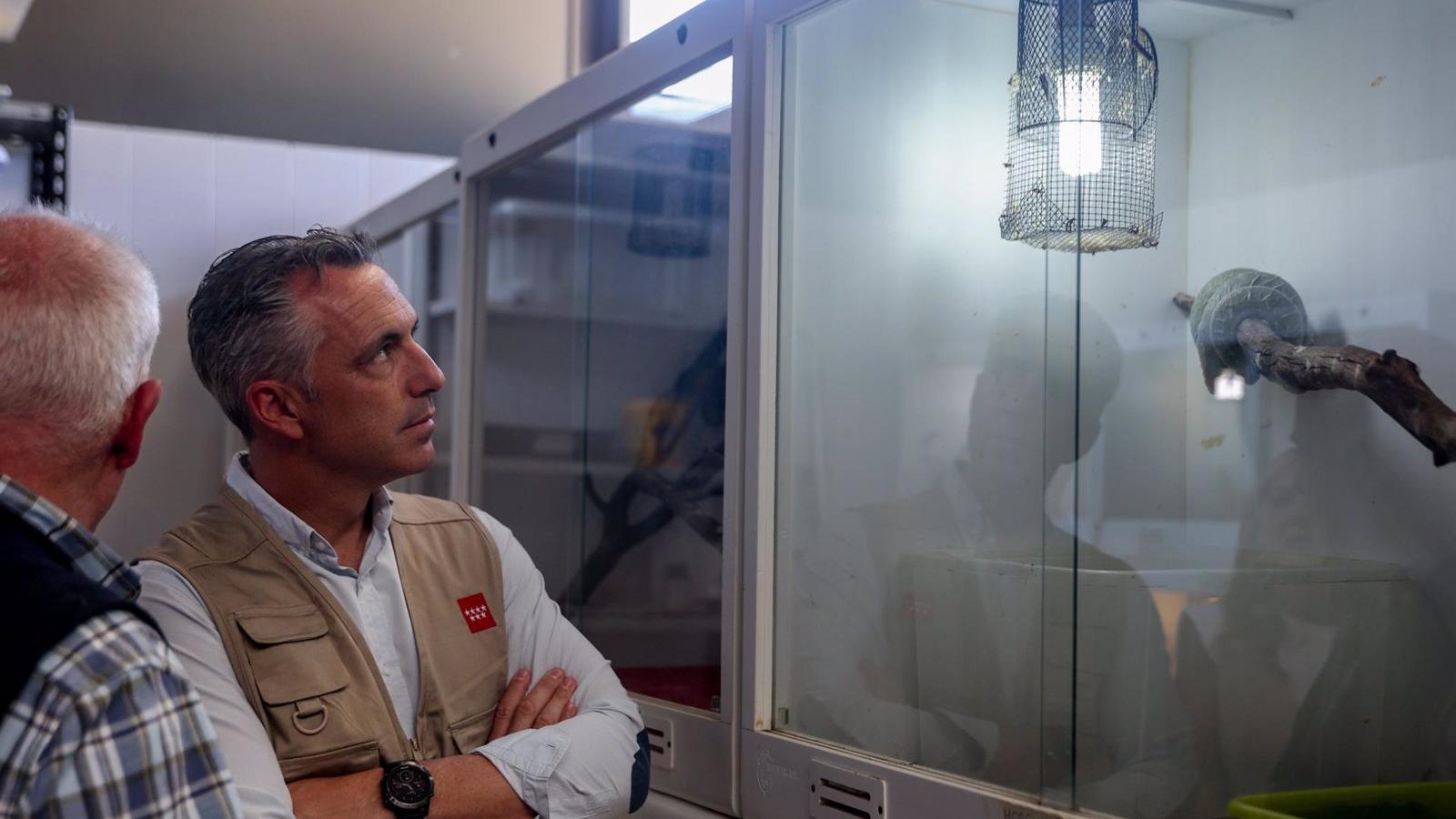 Más de 4.300 animales silvestres heridos durante el primer semestre del año en la región