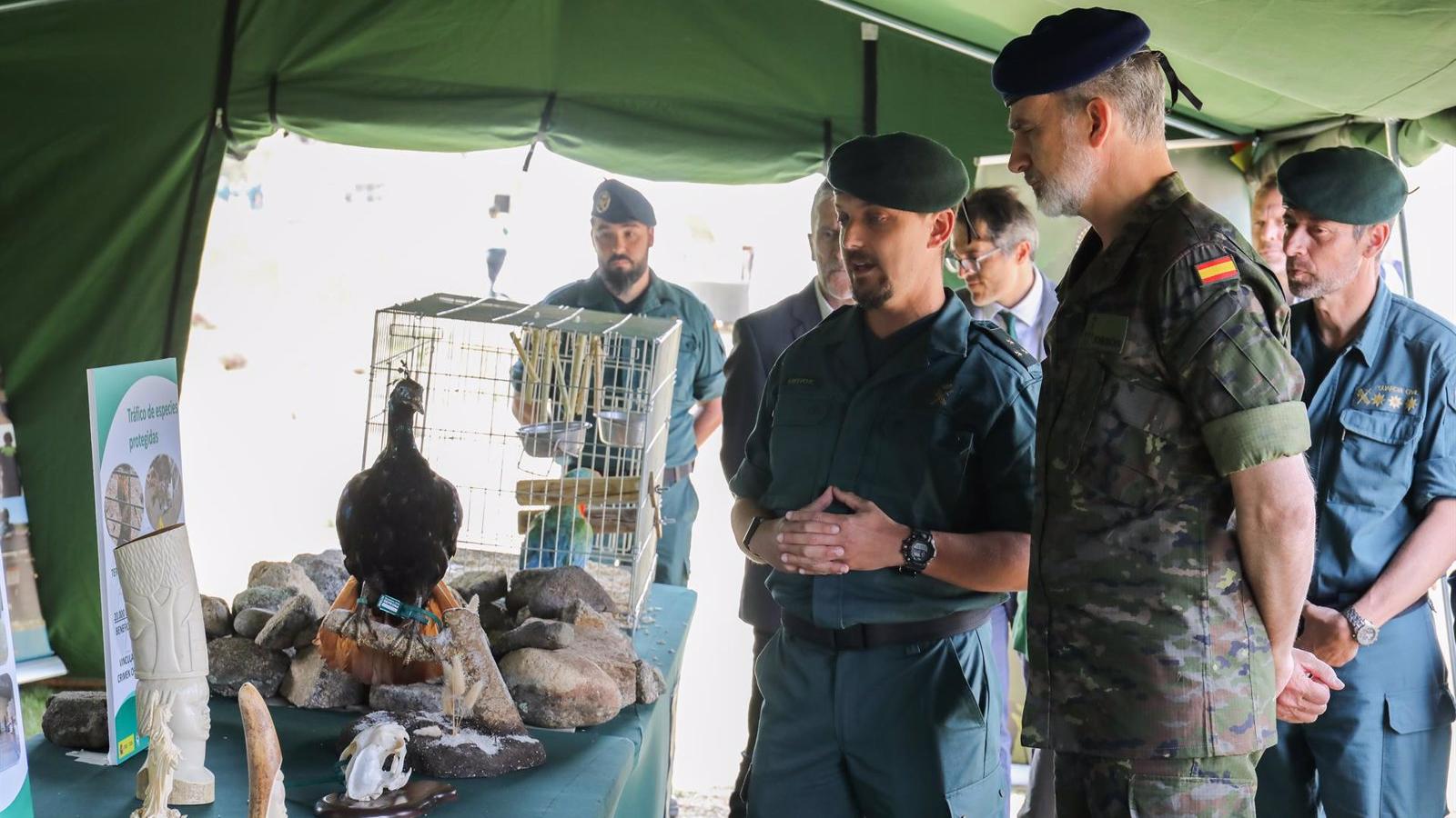 El general de Brigada David Blanes nuevo jefe del SEPRONA de la Guardia Civil