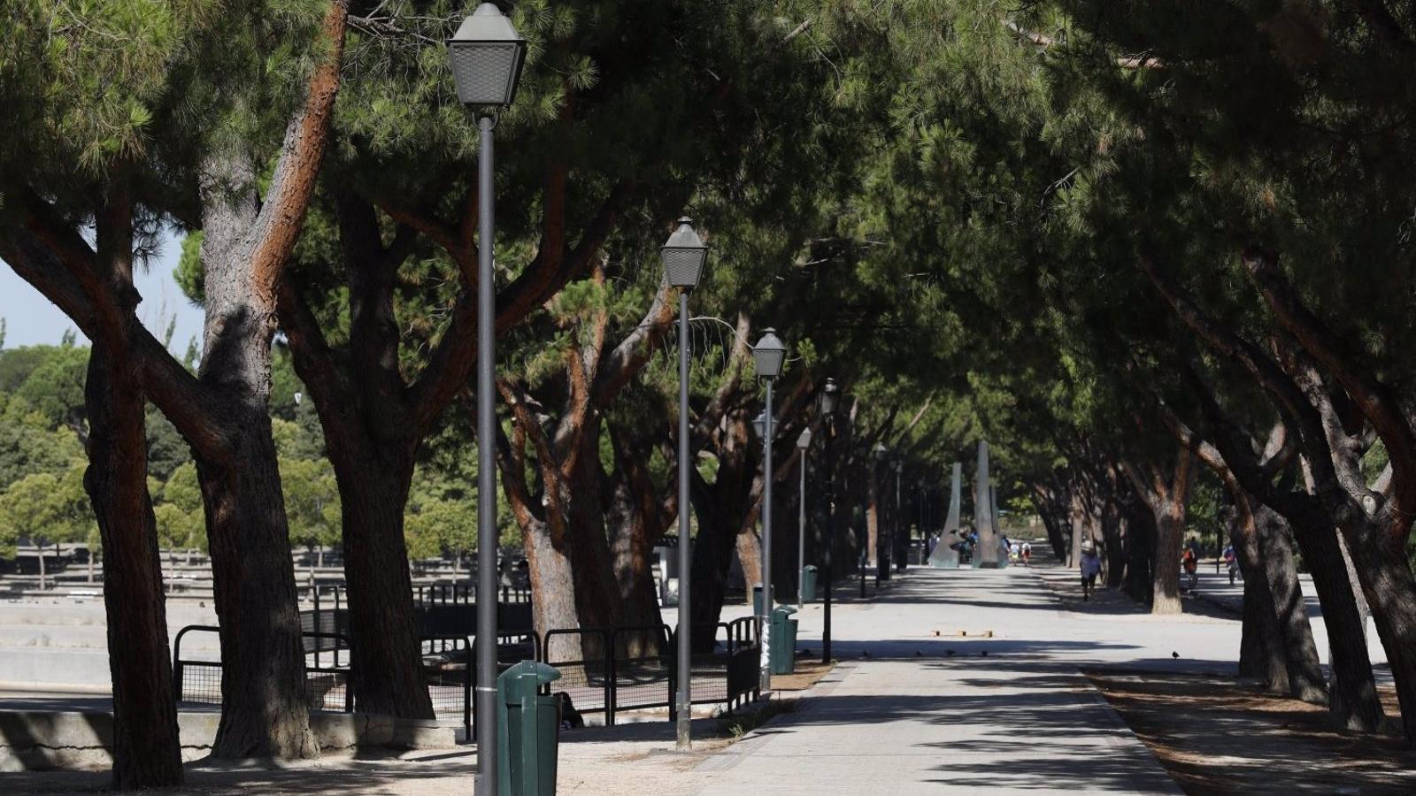 Los grandes refugios contra el calor de la capital: Casa de Campo, Pradolongo, El Capricho y Las Quintas