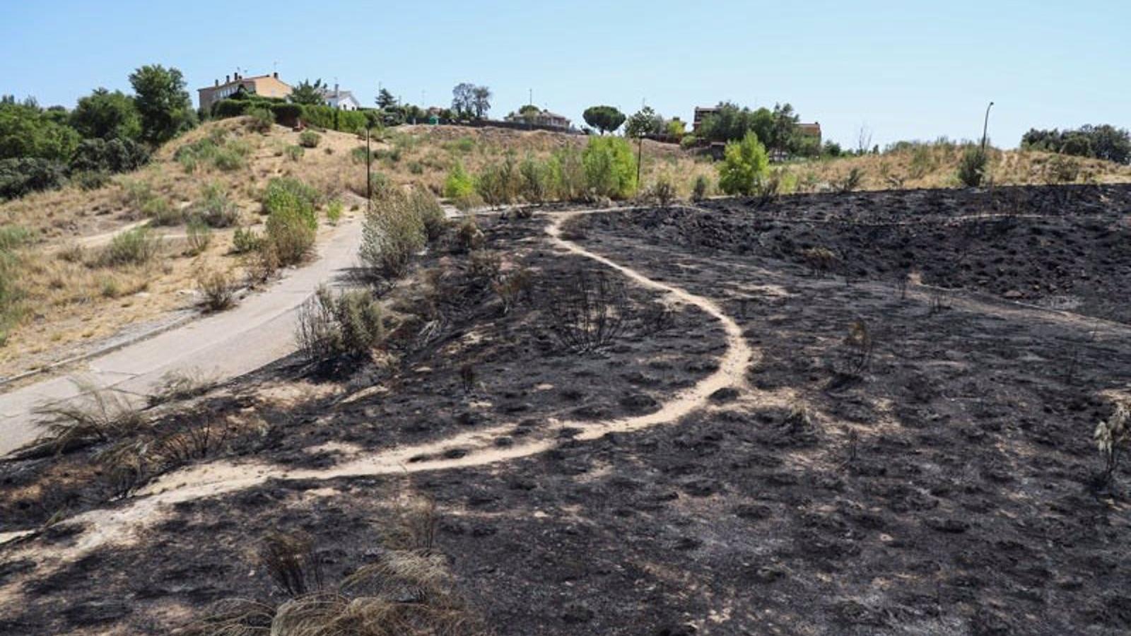 Móstoles trabaja en un nuevo plan integral de prevención de incendios