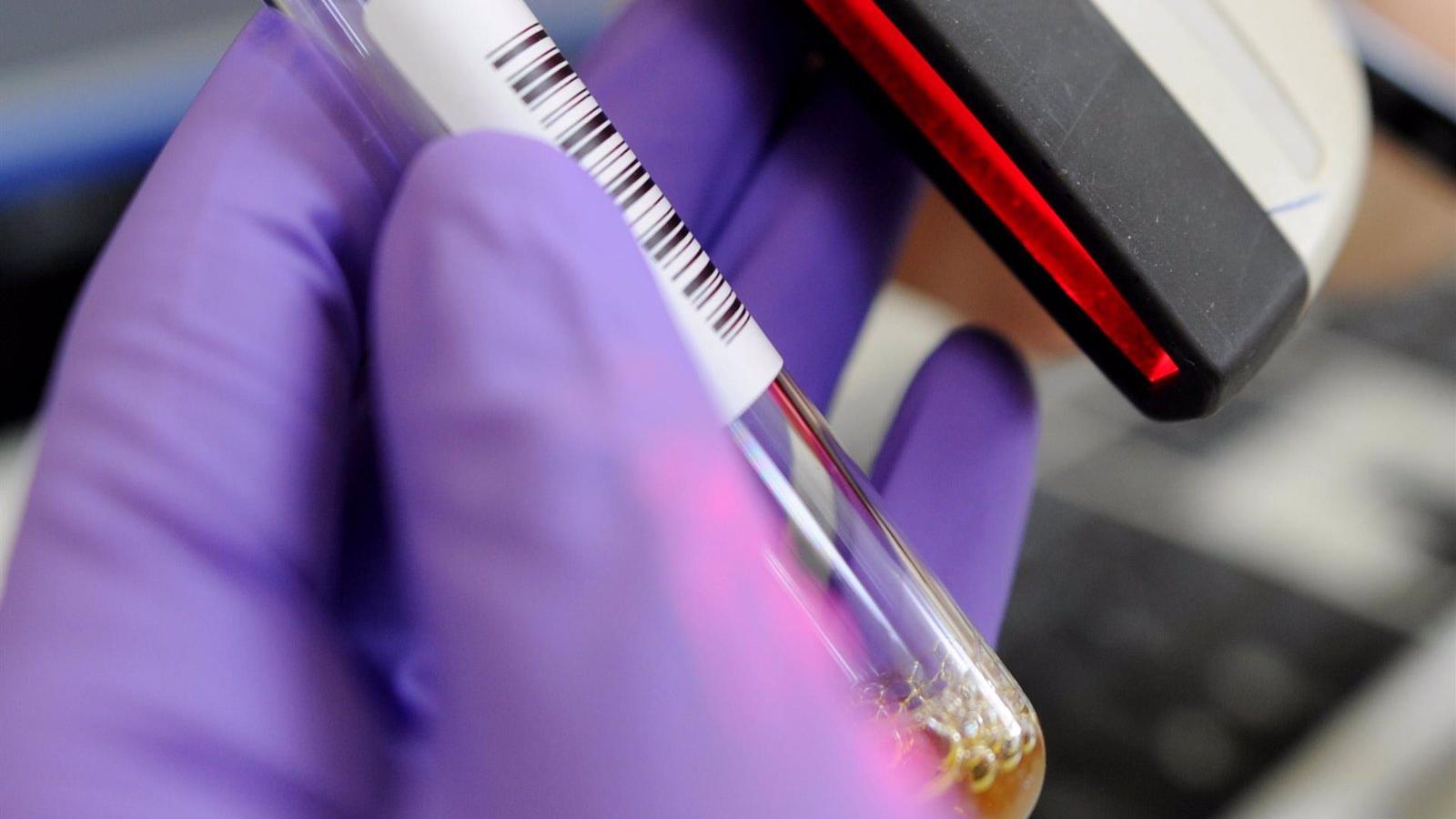 La Comunidad de Madrid registra 43 casos de dengue, todos importados