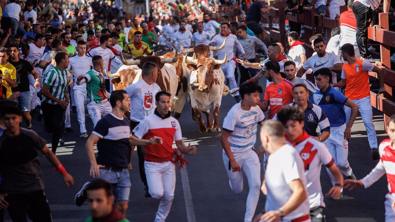 Un herido por varetazo en el primer encierro de las fiestas de San Sebastián de los Reyes