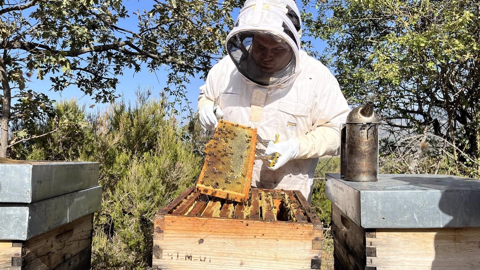 Más control de los ahumadores utilizados en apicultura para evitar incendios en la región