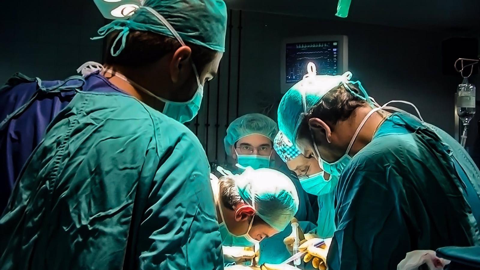 Uno de cada cuatro donantes fallecidos de órganos de la UE proviene de España