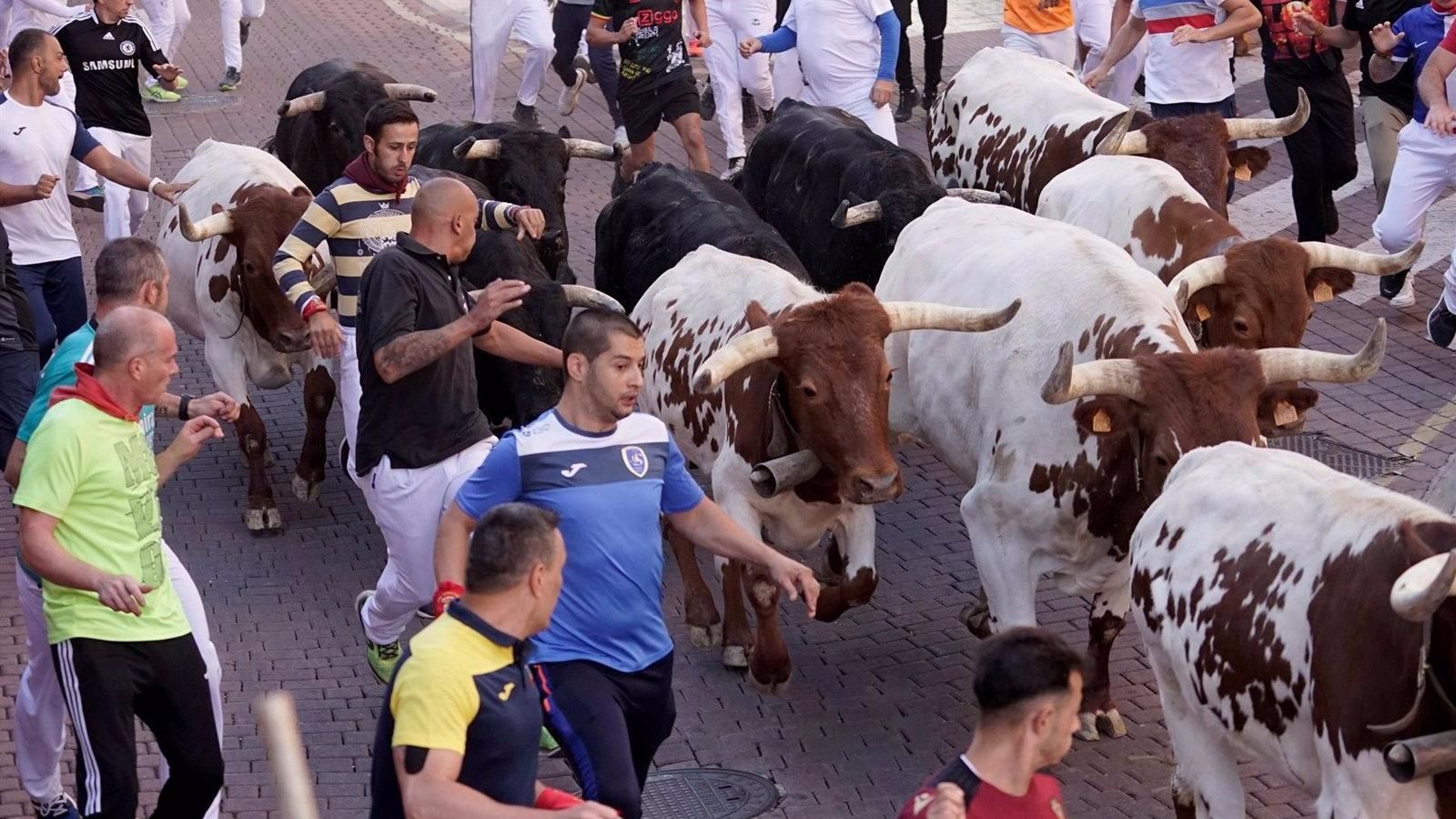  Dos asistencias por caídas en el quinto encierro de las fiestas de Sanse
