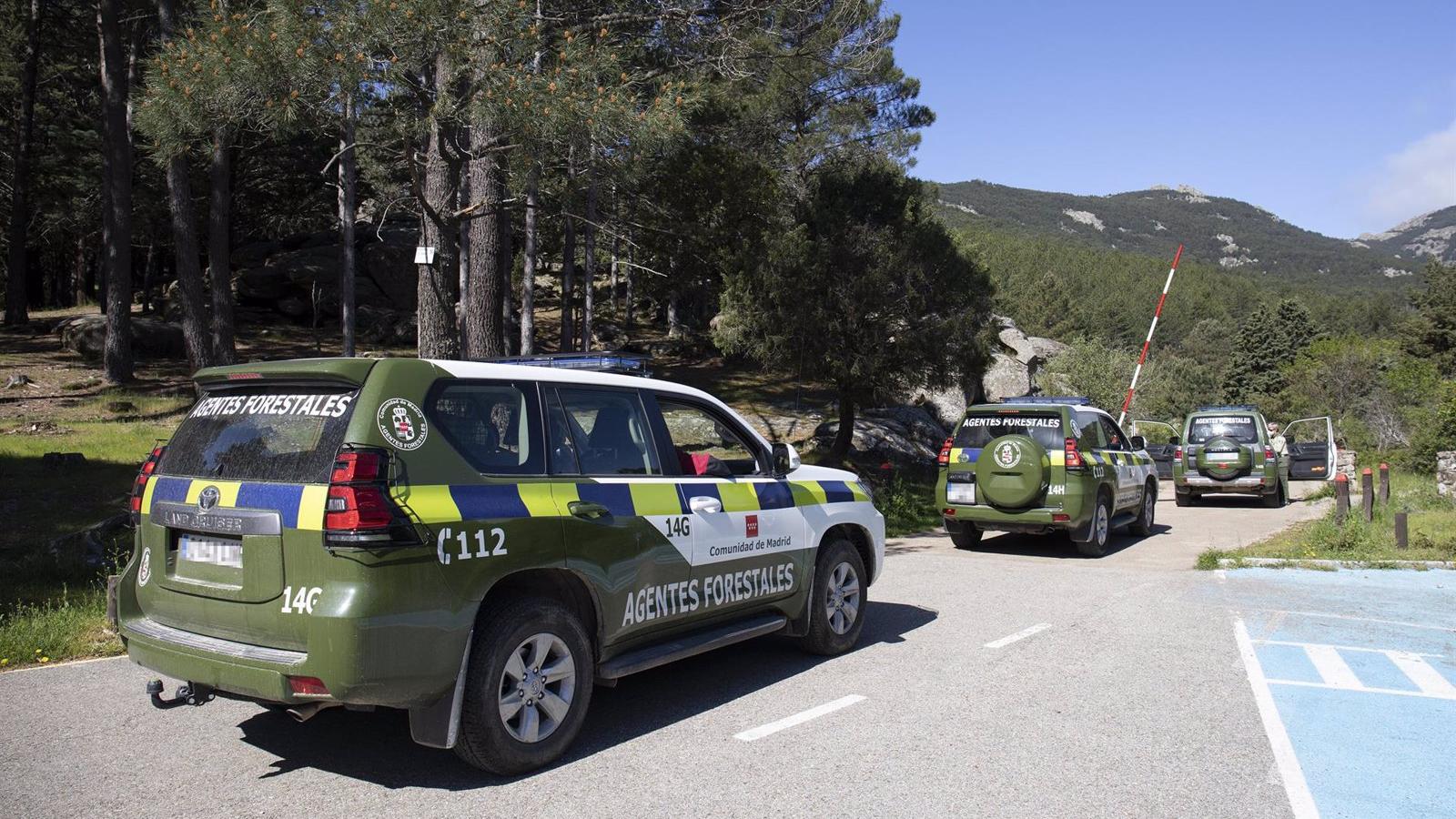 Más de 535.000 euros para el mantenimiento de la Central de Comunicaciones del Cuerpo de Agentes Forestales