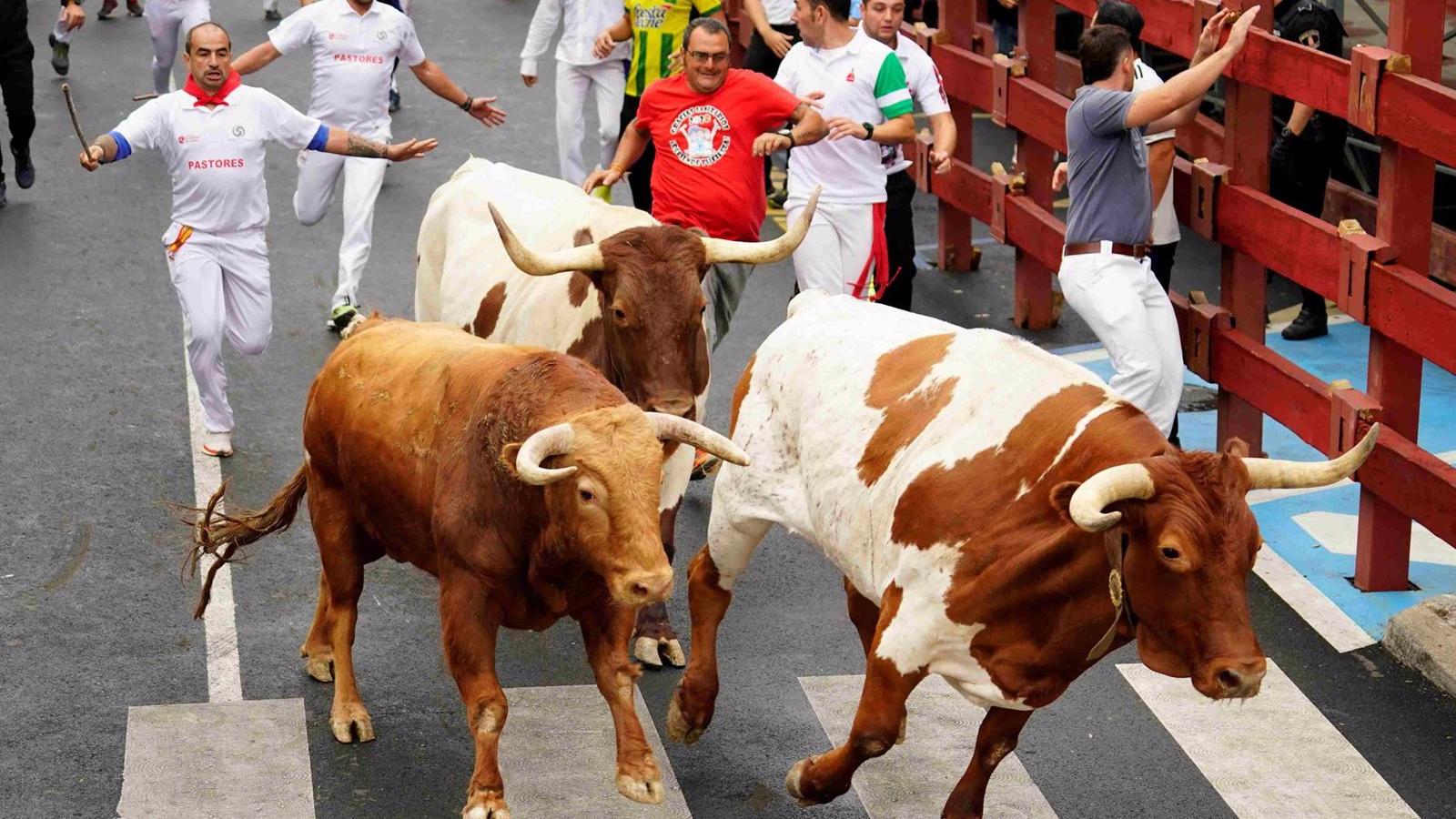 La lluvia respeta el último encierro de las fiestas de Sanse, en el que solo se ha atendido a una persona por caída