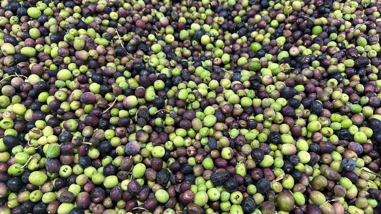 El precio del aceite de oliva virgen extra se dispara hasta un 75% en un mes