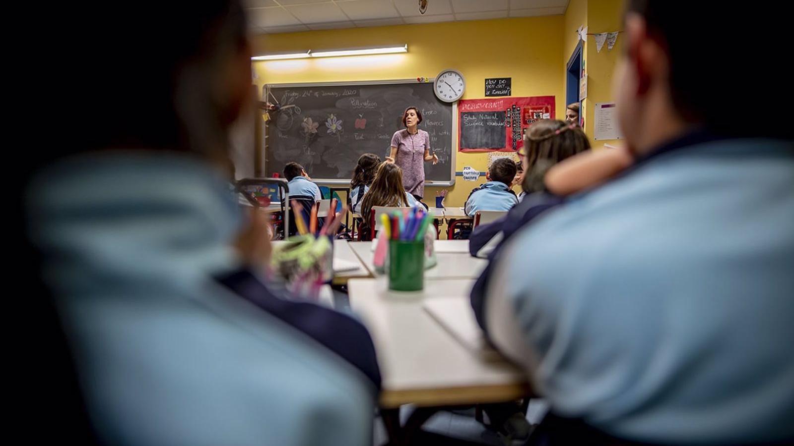 Más de 550 docentes de la región darán un "especial protagonismo" al medioambiente con el programa Naturaliza