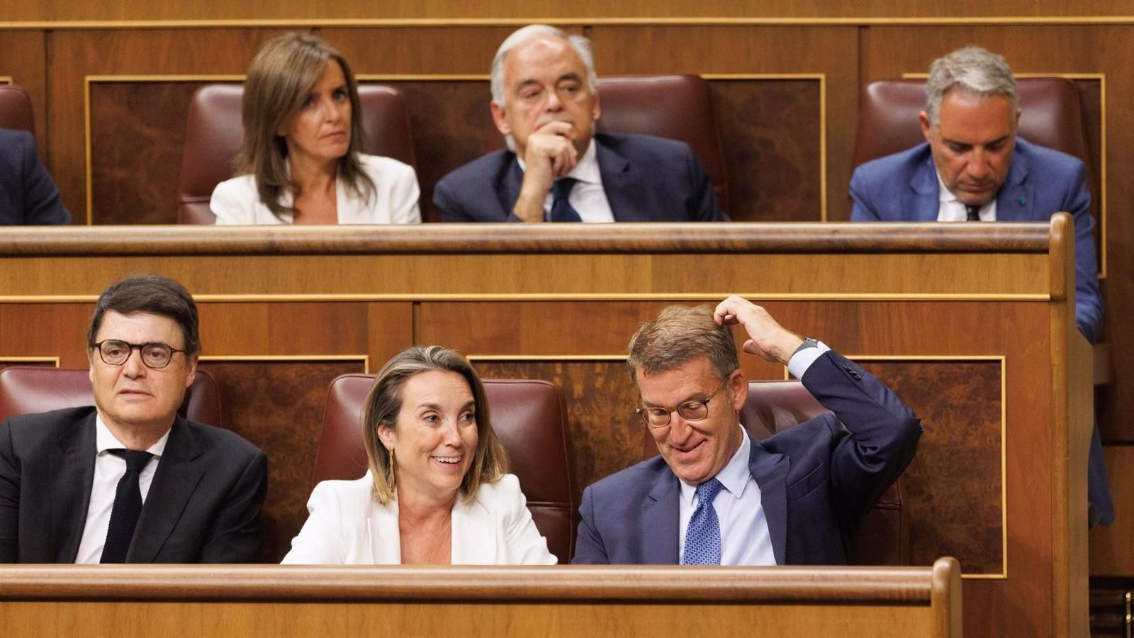 El PP fracasa en su intento de retrasar el uso de las lenguas cooficiales en el Congreso