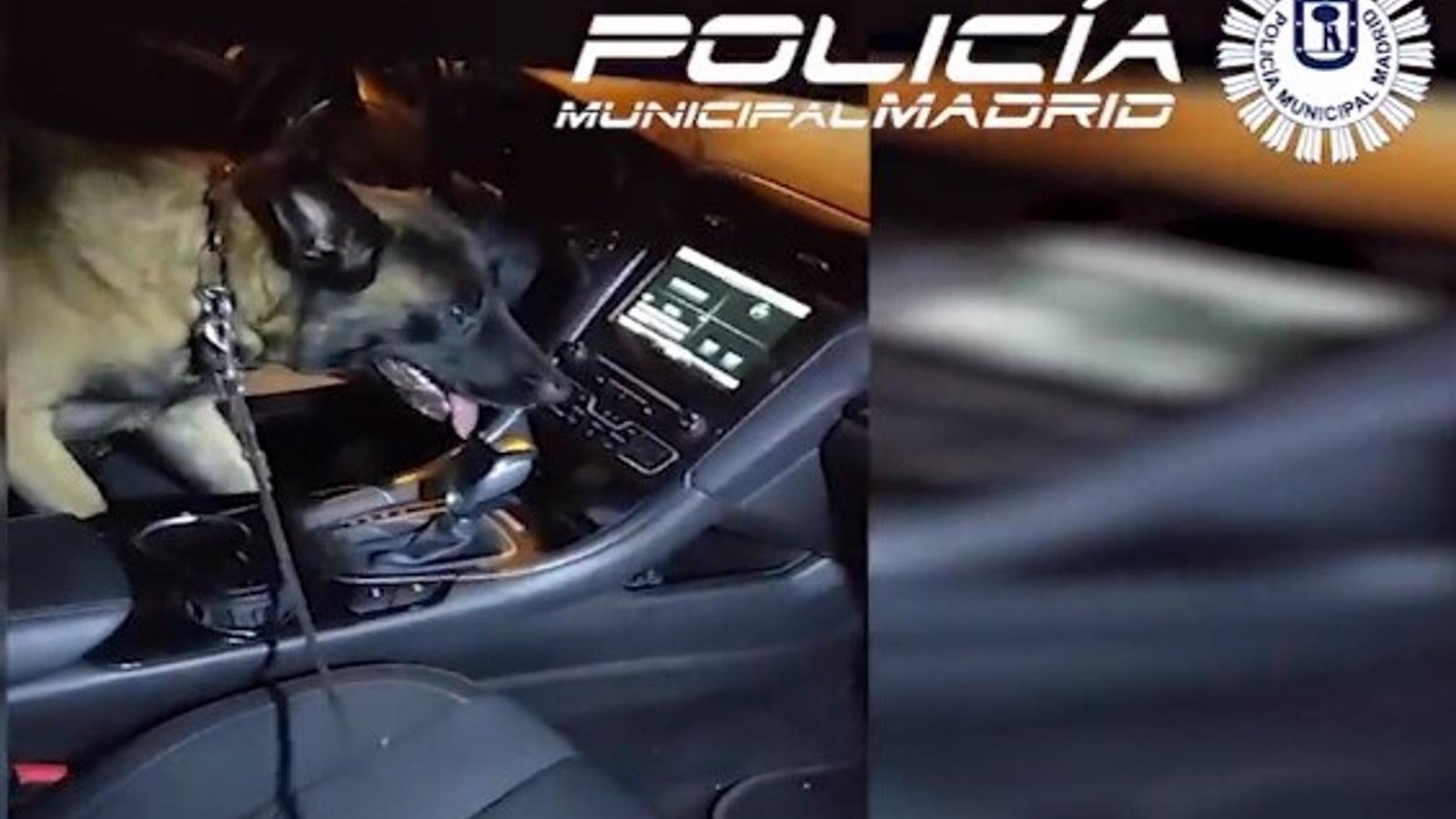 Detenido un vendedor de cocaína tras aparcar mal en una calle de Latina