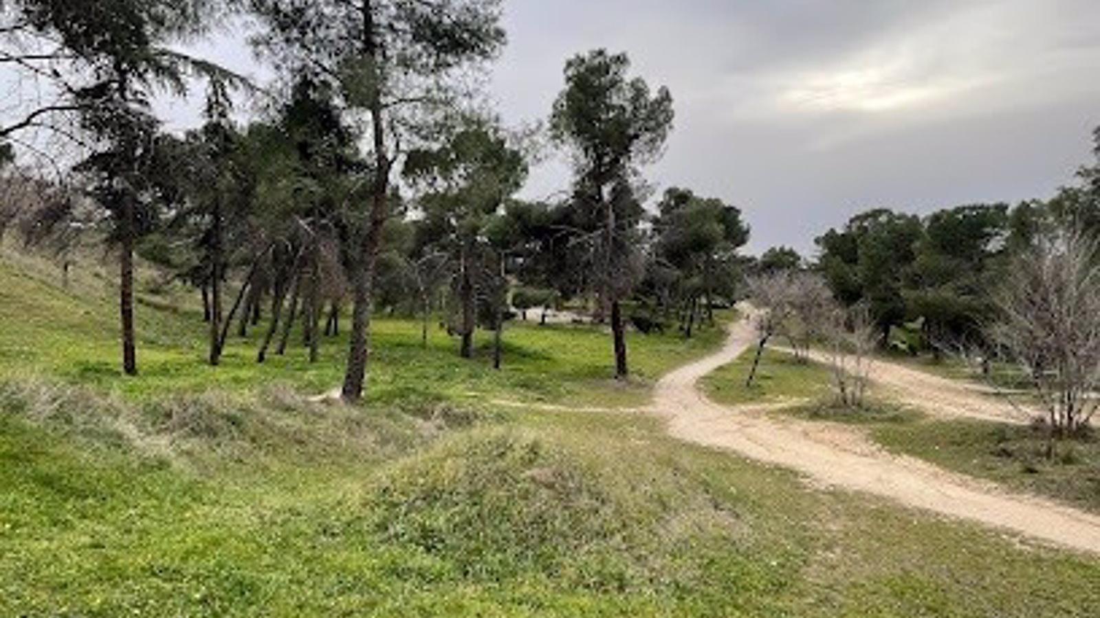 Investigan a ocho jóvenes por practicar novatadas vejatorias a varias estudiantes de una residencia de Madrid