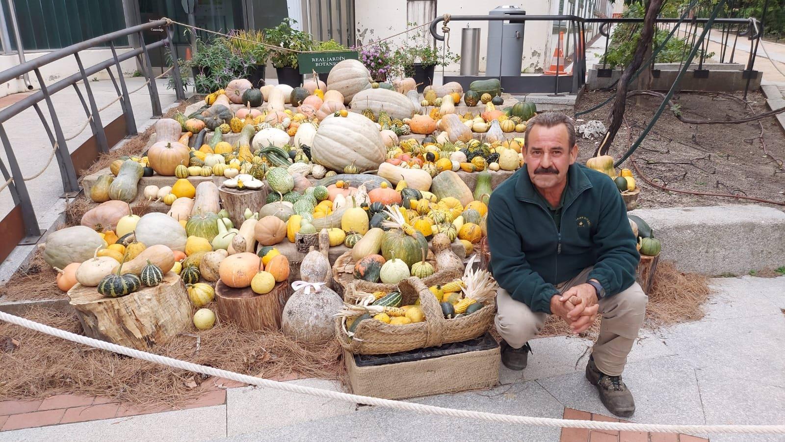 El Real Jardín Botánico exhibe por octavo año consecutivo las especies de calabazas que se cultivan en su huerto