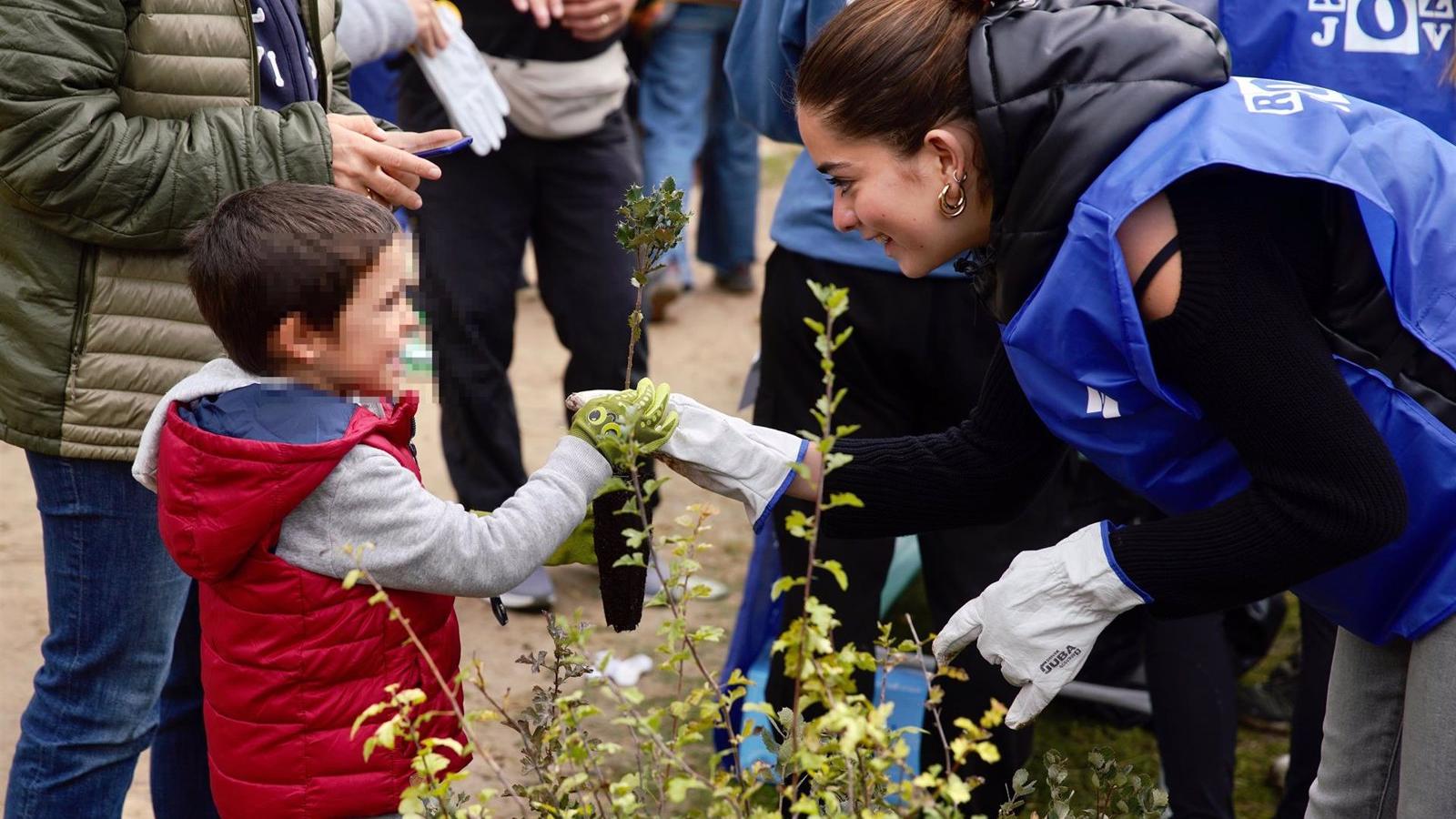 Las Rozas cuenta con 3.500 nuevos árboles de especies autóctonas gracias a la Gran Plantación Familiar