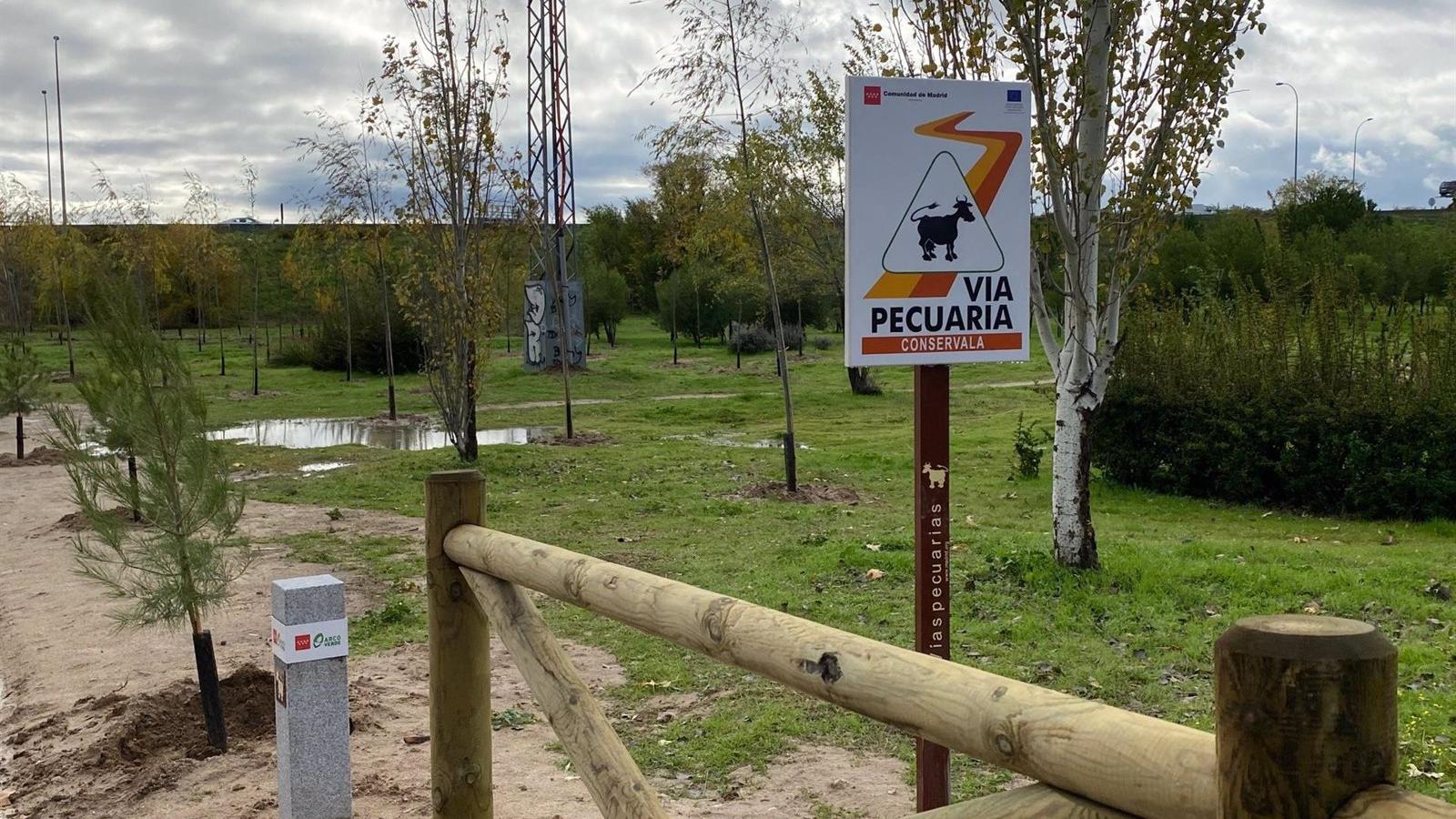 El Gobierno regional finalizará el Arco Verde en 2024 con 200 nuevos km