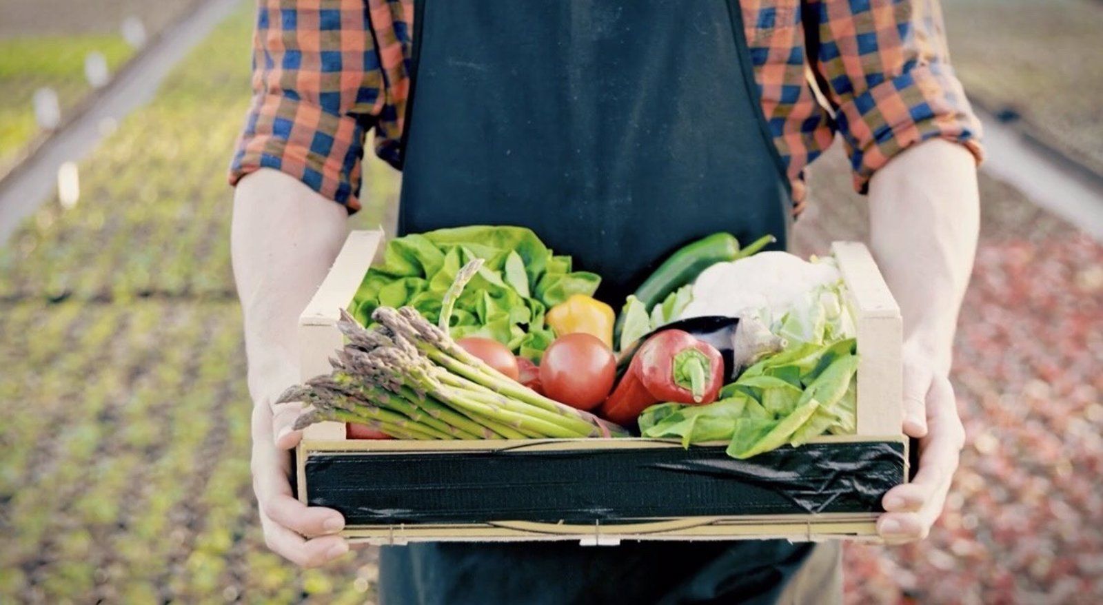 Nuevas ayudas regionales para la comercialización de alimentos de proximidad por valor de 400.000 euros