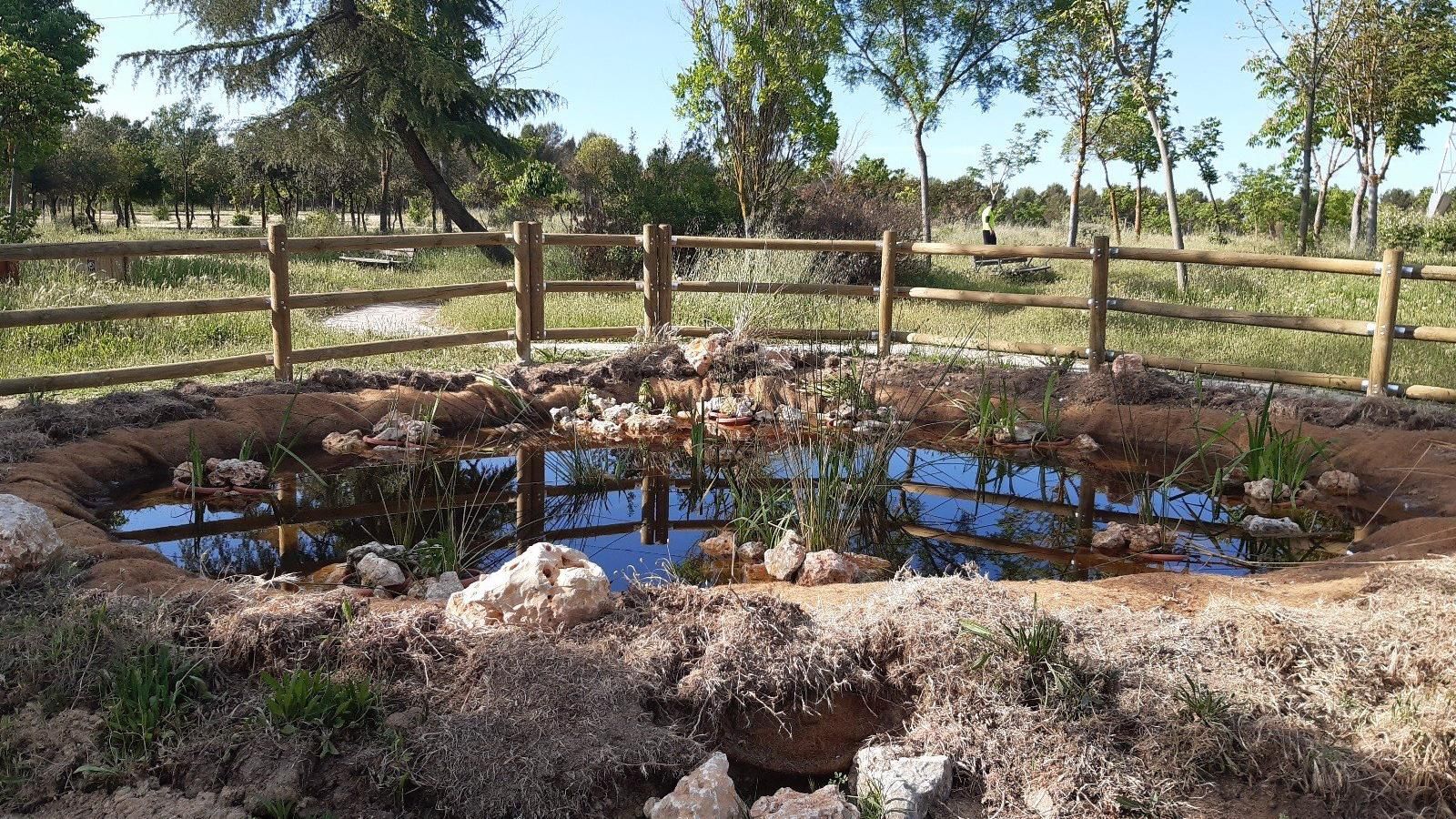 Cuatro millones para el mantenimiento de 125.000 árboles y arbustos en Arco Verde