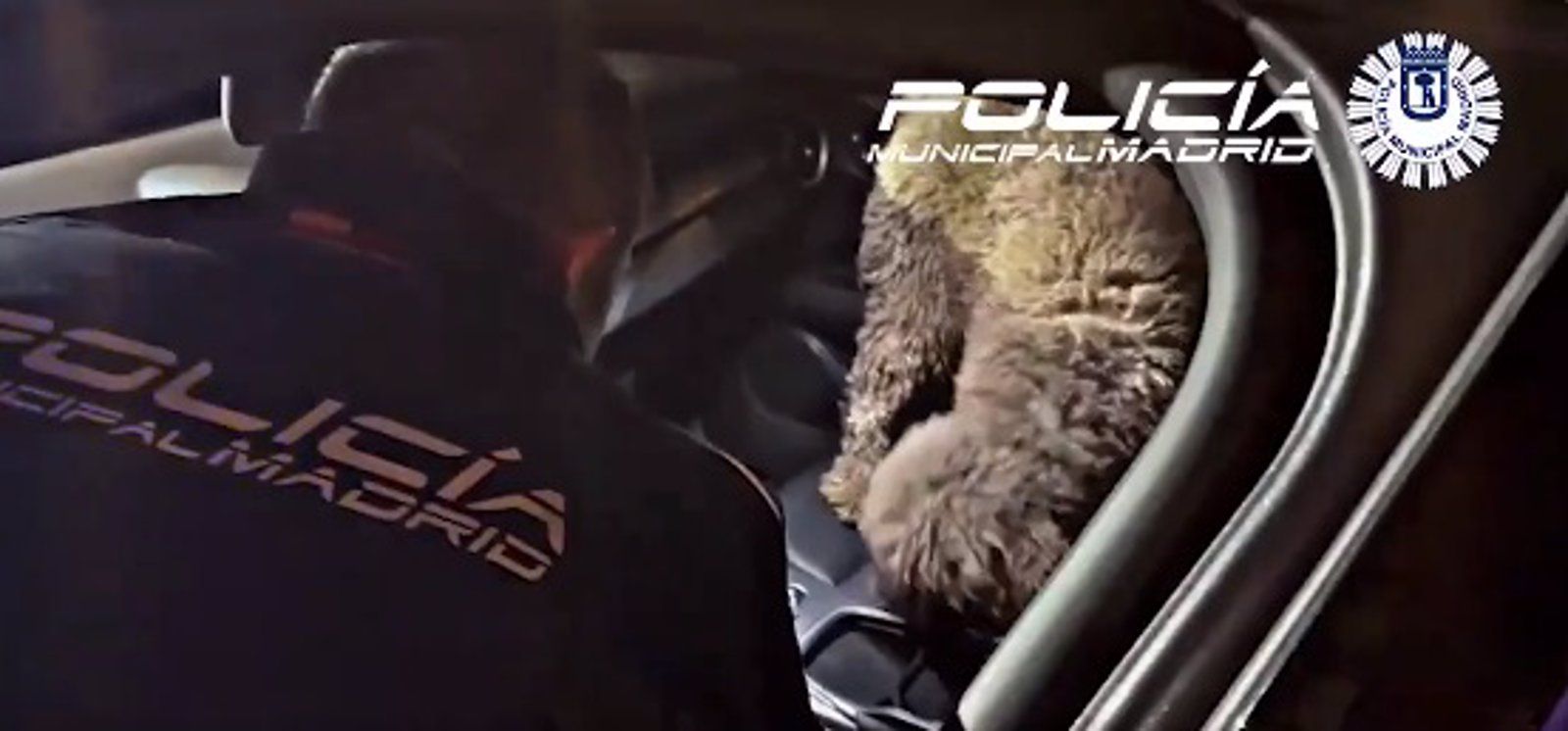  Detenida tras una persecución policial una pareja con cocaína rosa en el coche