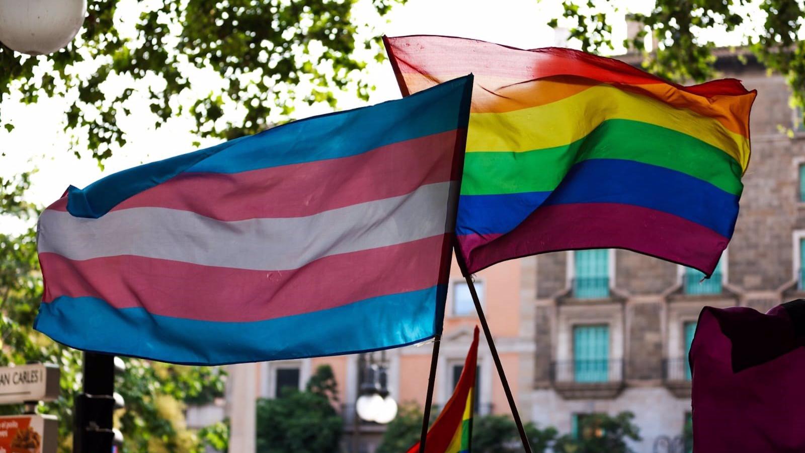 El PP defiende su reforma de la Ley LGTBI y Trans porque "da más protección a la infancia y seguridad jurídica"