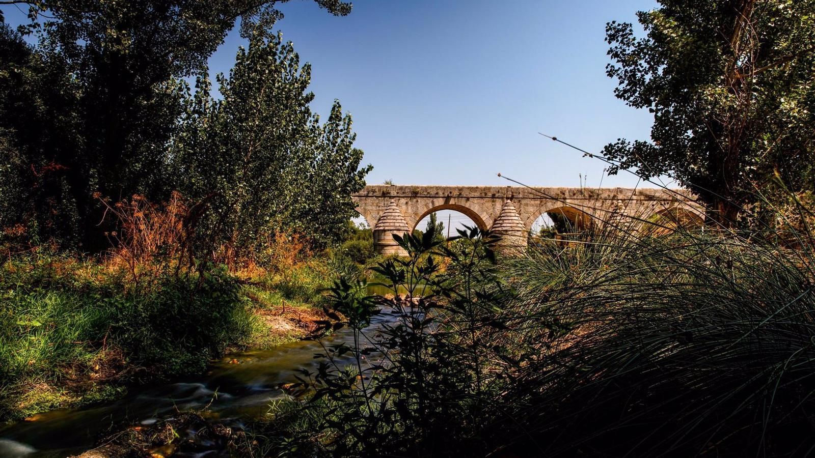Camino Viejo de Las Matas obtiene el reconocimiento 'Sendero Azul', el primero que se consigue en Madrid