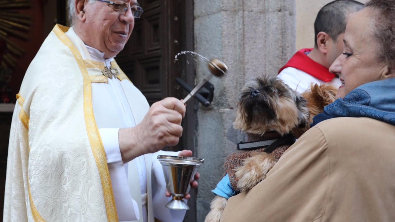 La iglesia de San Antón de Madrid se prepara para celebrar el patrón de los animales