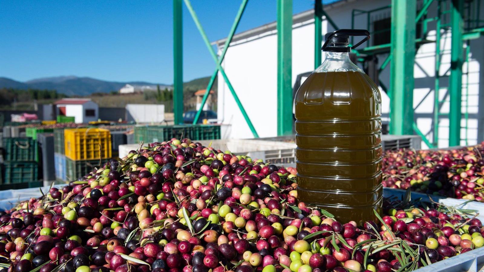 El precio del aceite de oliva crece un 64,5% en noviembre