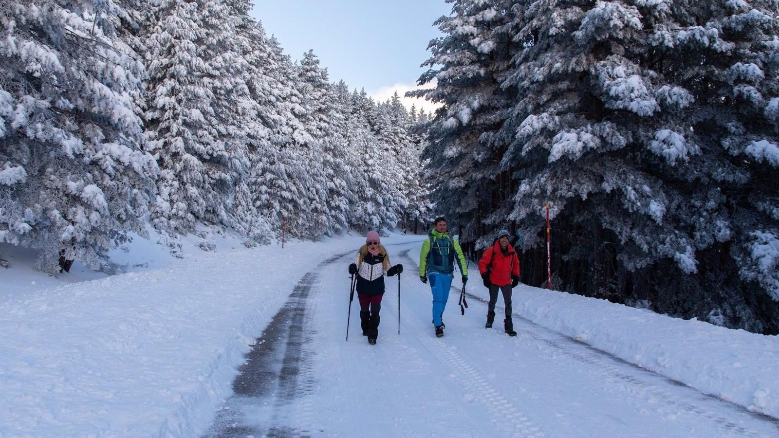 El puerto de Navacerrada recibe a multitud de madrileños para disfrutar de las primeras nieves del año