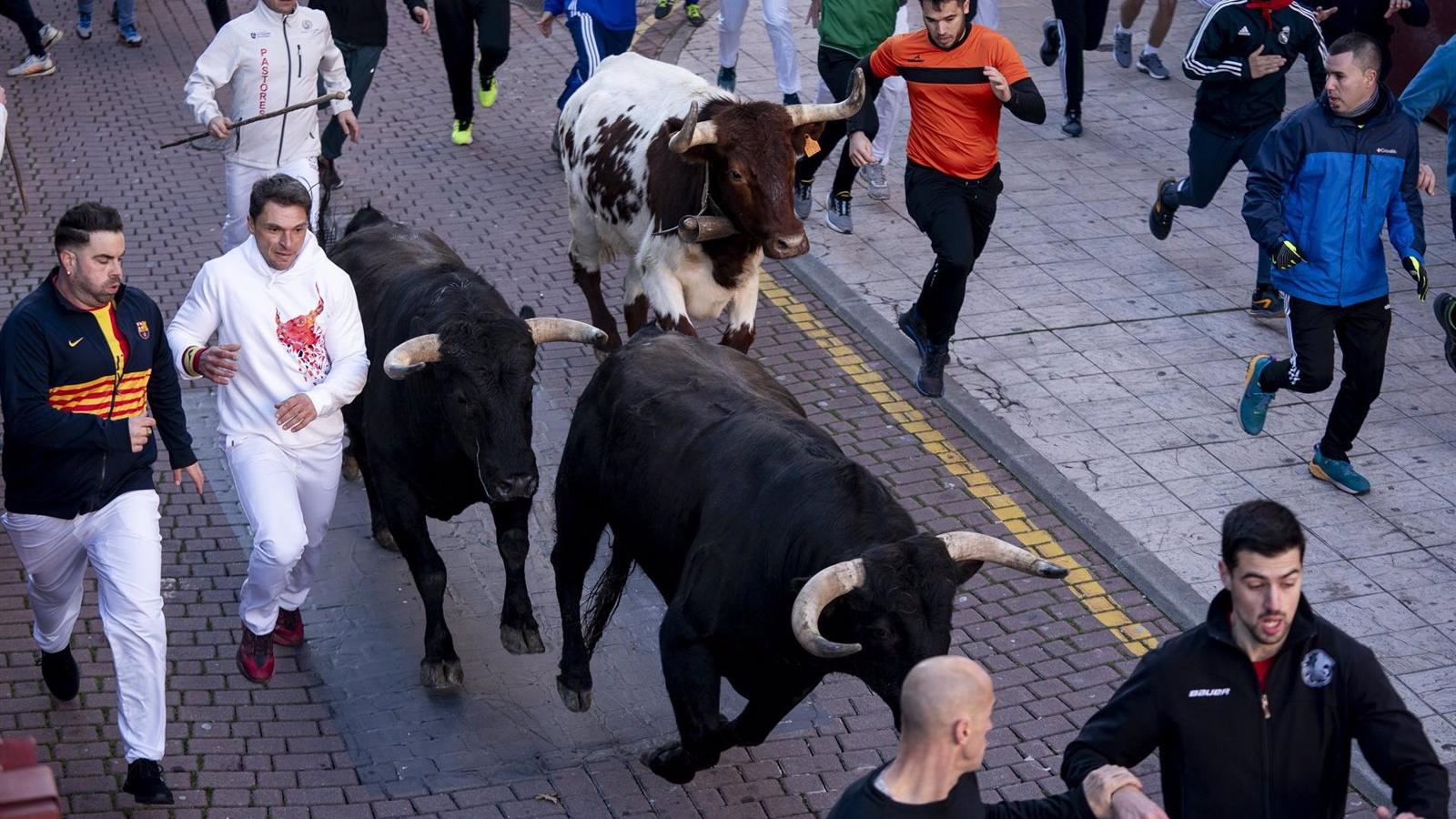 Concluye sin incidencias graves el primer 'encierro blanco' de Sanse, que ha reunido más de 2.200 corredores