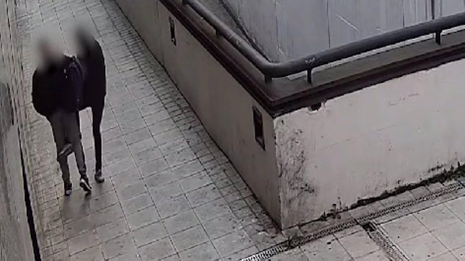  Detenido el ladron de varios móviles en Fuenlabrada por el método del 'Ronaldinho'