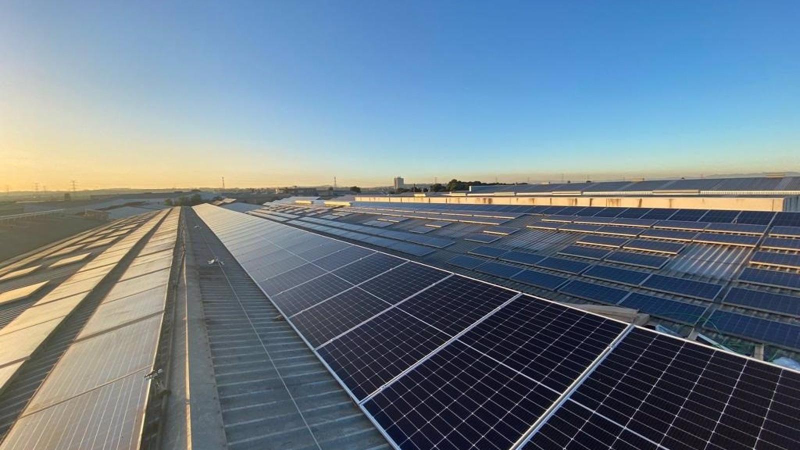Madrid se sitúa como la cuarta región con mayor autoconsumo colectivo, según Aldea Energy