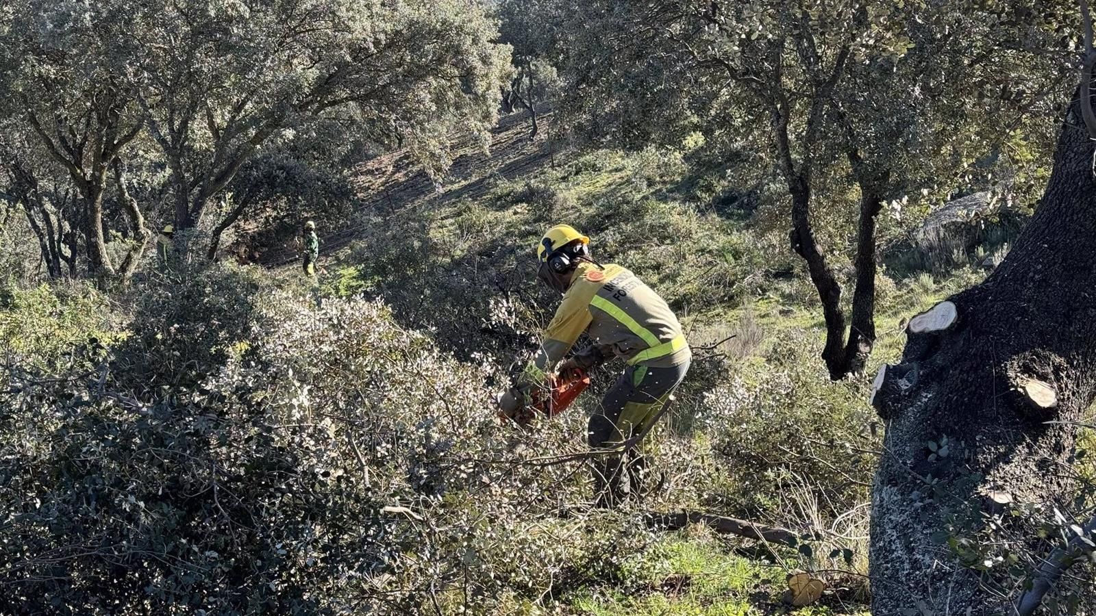 La Comunidad despliega 25 retenes forestales y más 300 efectivos para la prevención de incendios